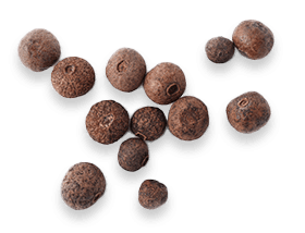 Joint Genesis™ Biodynamix 