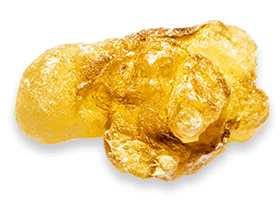 Joint Genesis™ Biodynamix 
