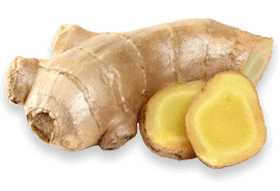Joint Genesis™ Biodynamix 