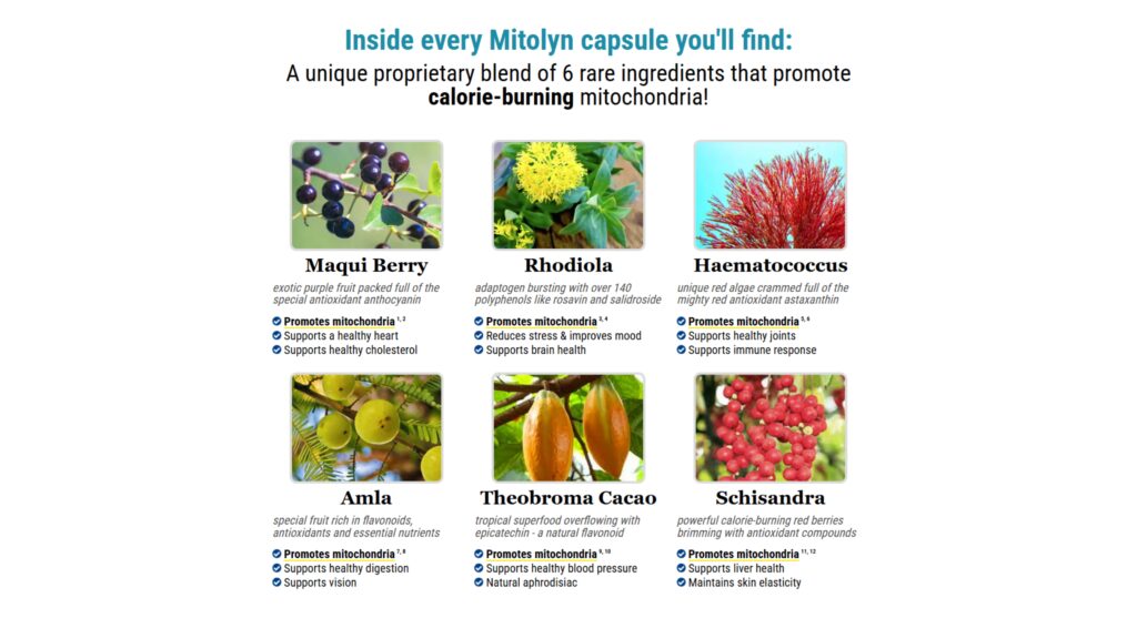 08 Mitolyn Landing Page Text Presentation Files