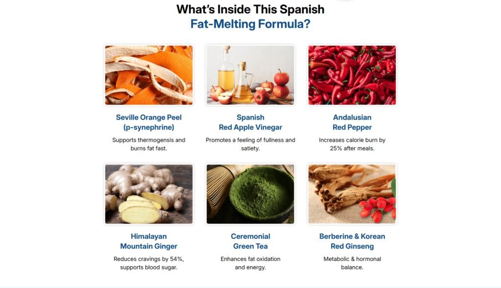 CitrusBurn Review 2026 Natural Metabolism & Fat-Burn Support 4 CI265E1