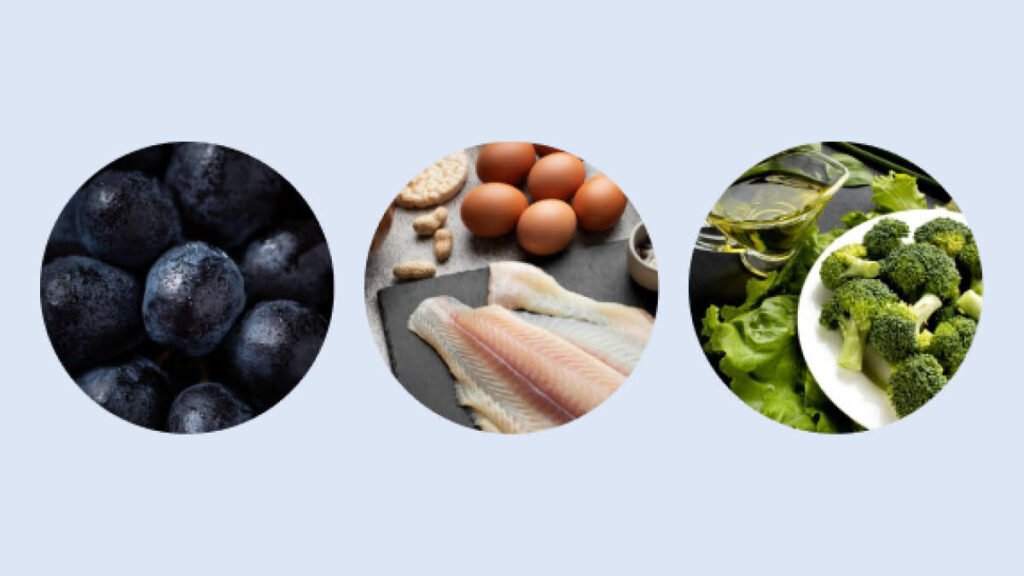 VisiFlora New Vision Gut Health Hybrid Blog Featured Image 4