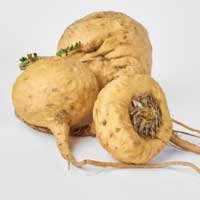Audifort Review 2026: Real Truth or Scam Exposed? 9 i maca