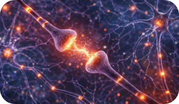 Phytomem One Review: 10 Benefits & Real Results Explained 6 intro img 3