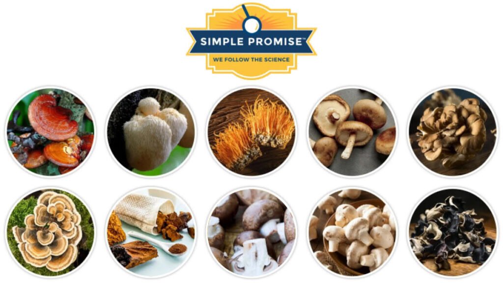 Cholibrium Reviews Honest 2026 Buyer's Guide & Ingredients 9 Cholibrium Blog Featured Image 02