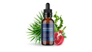 Home 9 Prostadine liquid prostate supplement dropper bottle 2026